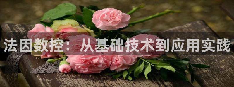 天辰娱乐会员:法因数控:从基础技术到应用实践