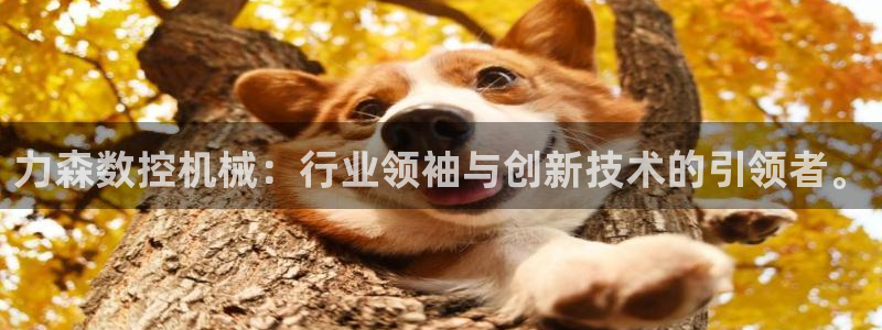 天辰娱乐台湾:力森数控机械:行业领袖与创新技术的引领者。