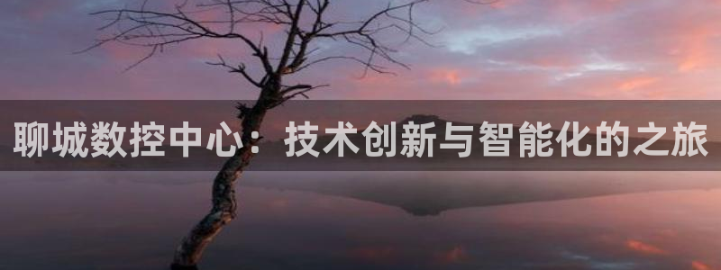 天辰娱乐国际:聊城数控中心:技术创新与智能化的之旅