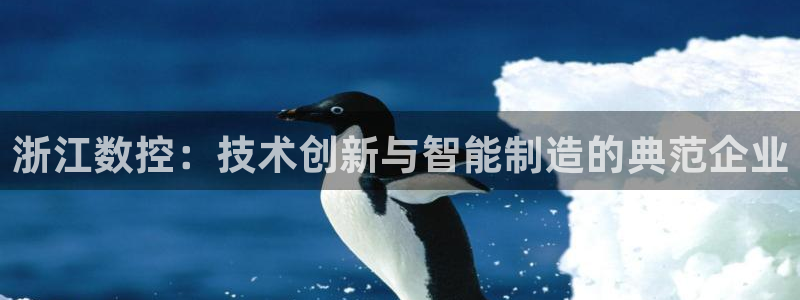 天辰娱乐61116:浙江数控:技术创新与智能制造的典范企业