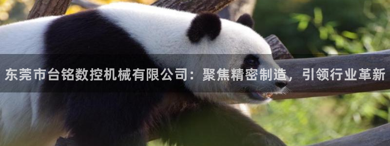 天辰娱乐平台靠谱么:东莞市台铭数控机械有限公司:聚焦精密制造,引领行业革新
