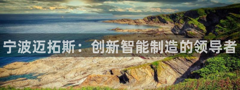 天辰娱乐登录测试:宁波迈拓斯:创新智能制造的领导者