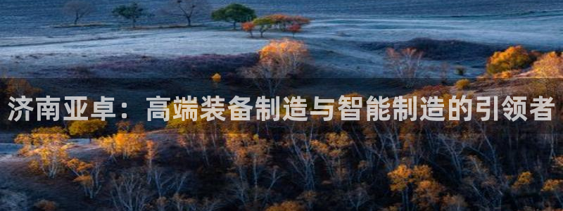 天辰娱乐信誉:济南亚卓:高端装备制造与智能制造的引领者